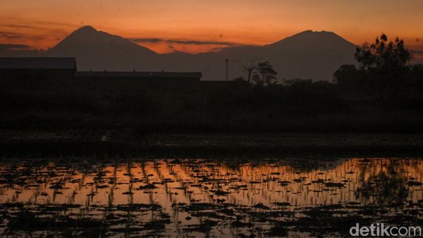 Cantiknya Gunung Merapi-Merbabu Dipotret Saat Senja