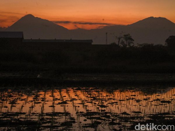 Cantiknya Gunung Merapi-Merbabu Dipotret Saat Senja