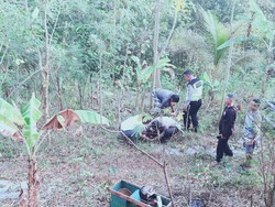 Kakek Pemotor Jatuh ke Jurang 3 Meter di Jalan Imogiri-Mangunan