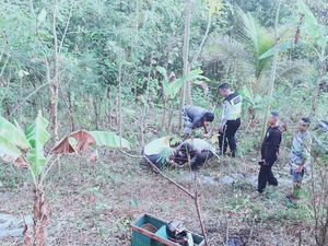 Kakek Pemotor Jatuh ke Jurang 3 Meter di Jalan Imogiri-Mangunan Kakek Pemotor Jatuh ke Jurang 3 Meter di Jalan Imogiri-Mangunan