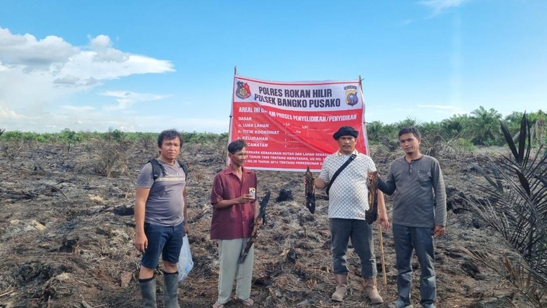 Lahan 1 Ha di Rohil Terbakar Akibat Puntung Rokok, 1 Orang Ditangkap
