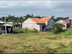 Penampakan Lahan Alih Fungsi yang Berujung BPN Lumajang Digeledah Penampakan Lahan Alih Fungsi yang Berujung BPN Lumajang Digeledah