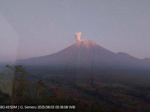 Berstatus Waspada, Gunung Semeru 4 Kali Erupsi Hari Ini