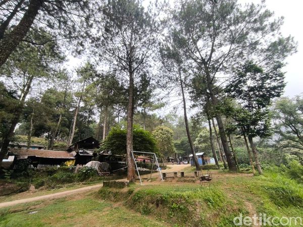 Pesona Perkemahan Ipukan Kuningan yang Tawarkan Kesejukan
