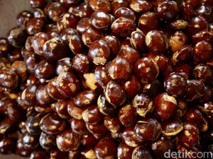 Cara Merebus Jengkol agar Cepat Empuk dan Tahan Lama