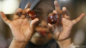 Jengkol Langka, Kini Tembus Rp 120ribu Nyaris Setara Daging Sapi