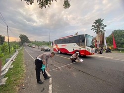 Kecelakaan Maut di Jalan Denpasar-Gilimanuk, Pengendara N-Max Tewas di Tempat