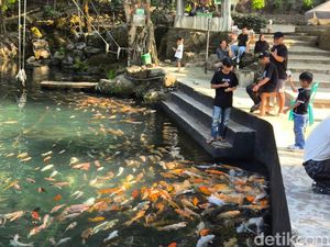 Keseruan Bermain Bersama Ikan Hias di Telaga Biru Cicerem Kuningan Keseruan Bermain Bersama Ikan Hias di Telaga Biru Cicerem Kuningan