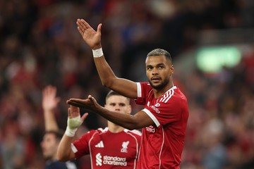 Liverpool Enggan Jual Gakpo, tapi Kalau Tottenham Kasih Harga Bagus...