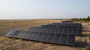 Energi Surya Kian Diminati Warga Mosul di Tengah Krisis Listrik