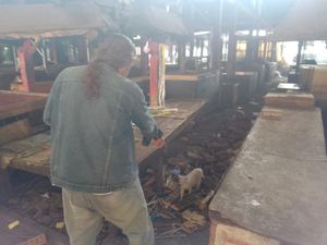 Temuan Kepala Kucing di Pasar Sepanjang Bikin Resah Pedagang