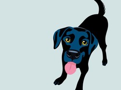 Hukum Memelihara Anjing dalam Islam Menurut 4 Mazhab