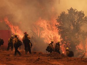Kebakaran Gifford Melalap 65 Ribu Hektar Lahan di Lereng Bukit California Kebakaran Gifford Melalap 65 Ribu Hektar Lahan di Lereng Bukit California