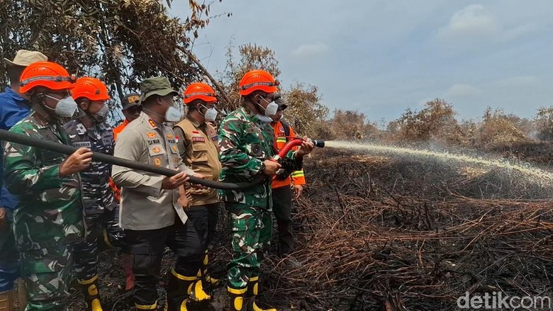 Pangdam I/BB Padamkan Karhutla di Rohil, Siapkan 920 Prajurit