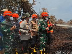 Pangdam I/BB Padamkan Karhutla di Rohil, Siapkan 920 Prajurit