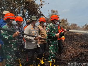 Pangdam I/BB Padamkan Karhutla di Rohil, Siapkan 920 Prajurit Pangdam I/BB Padamkan Karhutla di Rohil, Siapkan 920 Prajurit