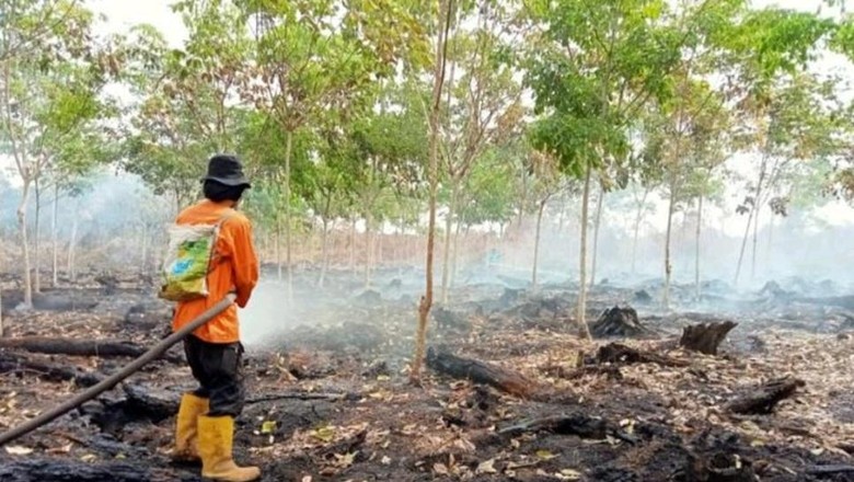 Karhutla 10,3 Hektare di Muara Enim Padam, Tim Kini Fokus Pendinginan