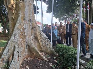 Pemprov Banten Gandeng Ahli IPB Cek Pohon Tua Demi Keselamatan Warga Pemprov Banten Gandeng Ahli IPB Cek Pohon Tua Demi Keselamatan Warga