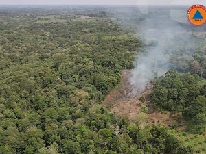 Wilayah Muba Terpantau Berasap, Petugas Langsung Cek ke Lapangan