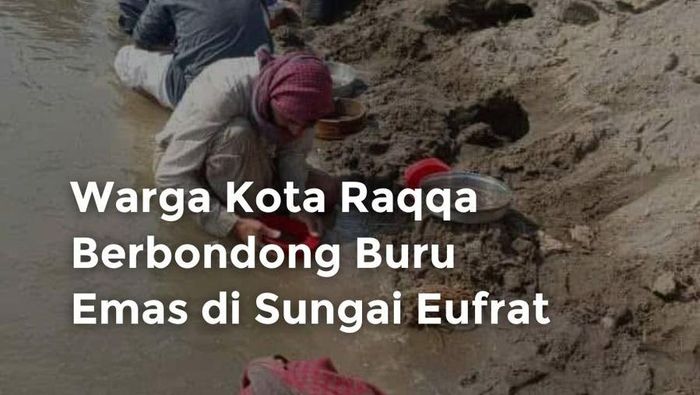 Video Warga Kota Raqqa Berbondong Buru Emas di Sungai Eufrat