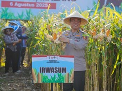 Irwasum Polri Pimpin Panen Raya Jagung di Malang: Hasil Sinergi Semua Pihak
