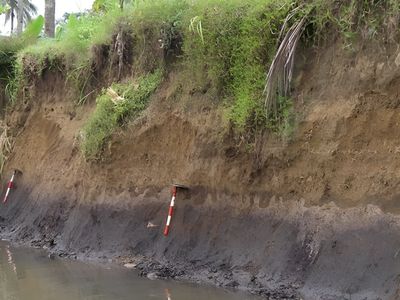 Potret Jejak Tsunami Raksasa di Selatan Jawa