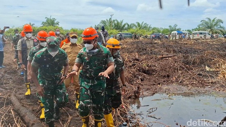 1.098 Ha Lahan di Rohil Terbakar, Pangdam I/BB: Hari Ini Semakin Kecil