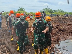 1.098 Ha Lahan di Rohil Terbakar, Pangdam I/BB: Hari Ini Semakin Kecil