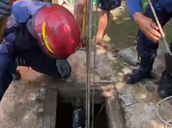 Kucing Tercebur Sumur di Cibinong Bogor, Warga Panggil Damkar