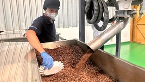 Mengintip Proses Bikin Kopi Kemasan, dari Tahap Roasting hingga Packing