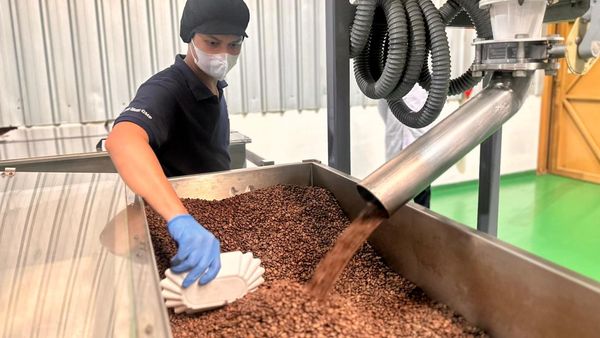 Mengintip Proses Bikin Kopi Kemasan, dari Tahap Roasting hingga Packing