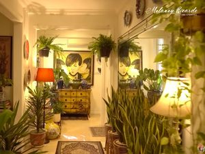 Bikin Rumah Serasa Hutan Mini, Begini Caranya! Bikin Rumah Serasa Hutan Mini, Begini Caranya!