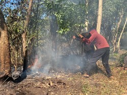 Lahan Dekat Pemukiman-Pura Terbakar, 4 Armada Damkar Dikerahkan