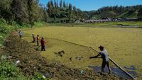 Danau Ranu Pani Dipulihkan dari Ancaman Pendangkalan