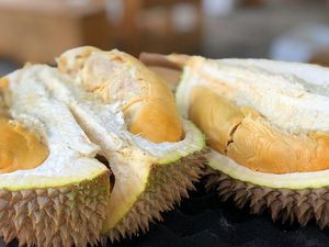 Duh! Penyanyi Ini Terserang Stroke gegara Kalap Makan 7 Durian Duh! Penyanyi Ini Terserang Stroke gegara Kalap Makan 7 Durian