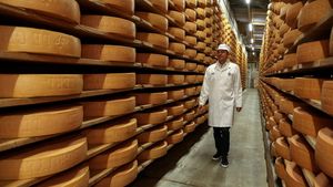 Industri Keju Swiss Tercekik Tarif Trump