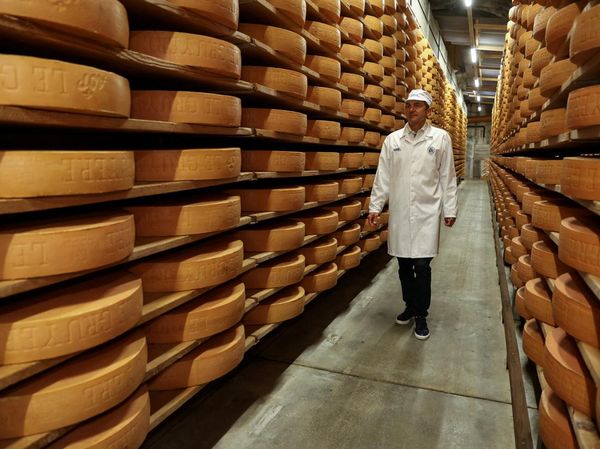 Industri Keju Swiss Tercekik Tarif Trump