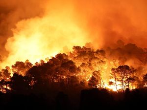 Kebakaran Hebat Kepung Hutan Prancis Selatan, Petugas Kewalahan