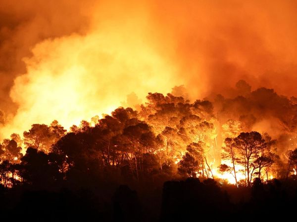 Kebakaran Hebat Kepung Hutan Prancis Selatan, Petugas Kewalahan