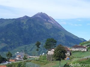 Pengumuman Lur! Pendakian Gunung Merapi Masih Tutup Pengumuman Lur! Pendakian Gunung Merapi Masih Tutup