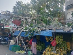 Pohon Setinggi 8 Meter Tumbang Timpa Lapak Pedagang Buah di Bogor Pohon Setinggi 8 Meter Tumbang Timpa Lapak Pedagang Buah di Bogor