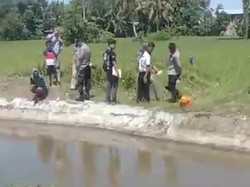 Geger Mayat Bayi Ditemukan Mengapung Dalam Saluran Irigasi di Polman