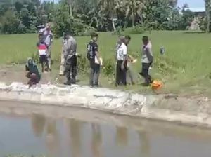 Geger Mayat Bayi Ditemukan Mengapung Dalam Saluran Irigasi di Polman Geger Mayat Bayi Ditemukan Mengapung Dalam Saluran Irigasi di Polman