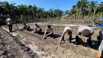 Polisi dan Kelompok Tani di Dumai Tanam Jagung Dukung Swasembada Pangan