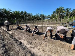 Polisi dan Kelompok Tani di Dumai Tanam Jagung Dukung Swasembada Pangan Polisi dan Kelompok Tani di Dumai Tanam Jagung Dukung Swasembada Pangan