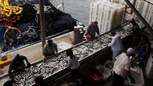 Gelombang Krisis Menyerang Nelayan Brasil Akibat Tarif Ekspor AS