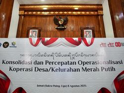Satgas KDMP Konsolidasi Percepatan Operasional Kopdes Merah Putih di Bali
