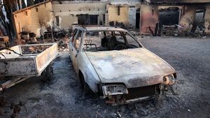 Mobil-mobil Hangus Akibat Kebakaran Hutan di Prancis Selatan