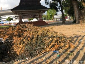 Pakar UGM Kritik Pembakaran Sampah di Mandala Krida, Ingatkan Bahaya Polusi Pakar UGM Kritik Pembakaran Sampah di Mandala Krida, Ingatkan Bahaya Polusi