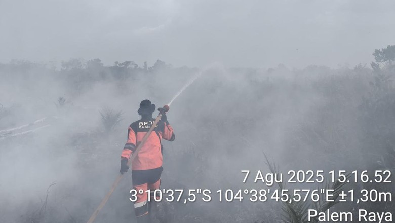 Tim Padamkan Karhutla di Ogan Ilir, Lokasi Terbakar Lahan Bergambut
